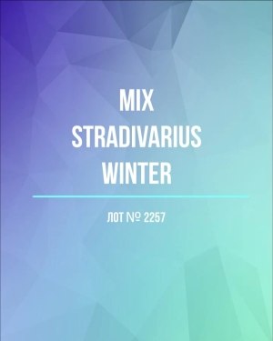 Купить STRADIVARIUS Winter mix#15 кг, ЛОТ №2257 оптом в Калининграде и Калининградской области