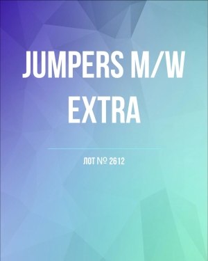 Купить Джемпер муж+жен экстра#15 кг , Лот№2612 оптом в Калининграде и Калининградской области