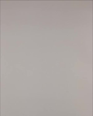 Фотография  882 - Нижнее белье Bon Prix дети#50 шт, ЛОТ №3242 оптом в Калининграде и Калининградской области