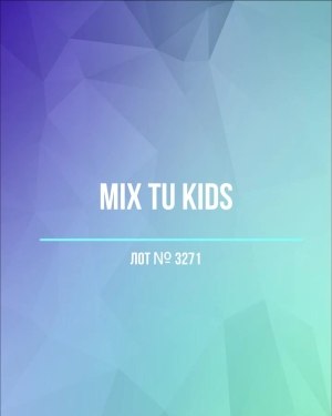 Купить TU Kids#8 кг, ЛОТ №3271 оптом в Калининграде и Калининградской области