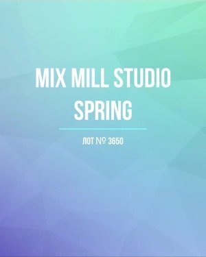 Купить MILL STUDIO Spring mix#15 кг, ЛОТ №3650 оптом в Калининграде и Калининградской области