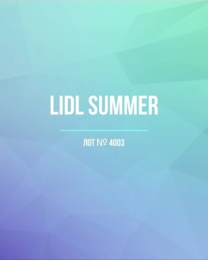 Купить LIDL Summer#20 кг, ЛОТ №4003 оптом в Калининграде и Калининградской области