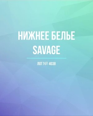 Купить Нижнее белье Savage, 50 шт, ЛОТ №4038 оптом в Калининграде и Калининградской области