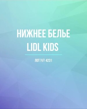 Купить Нижнее белье LIDL Kids#5 кг, ЛОТ №4231 оптом в Калининграде и Калининградской области
