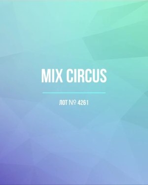Купить CIRCUS mix #13 кг, ЛОТ №4261 оптом в Калининграде и Калининградской области