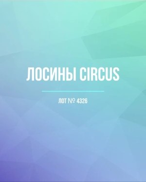 Купить Лосины CIRCUS #6,2 кг, ЛОТ №4326 оптом в Калининграде и Калининградской области