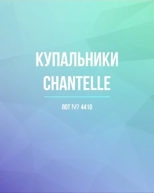 Купить Купальники Chantelle#30 шт, ЛОТ №4410 оптом в Калининграде и Калининградской области