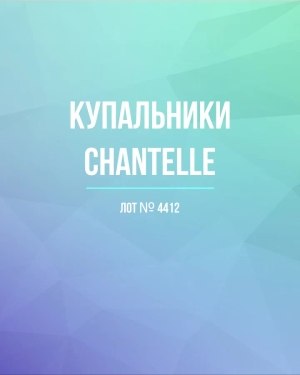 Купить Купальники Chantelle#23 шт, ЛОТ №4412 оптом в Калининграде и Калининградской области