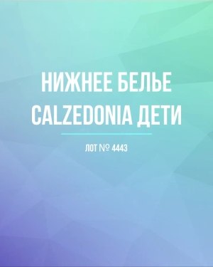 Купить Детское нижнее белье CALZEDONIA, 40 шт, ЛОТ №4443 оптом в Калининграде и Калининградской области