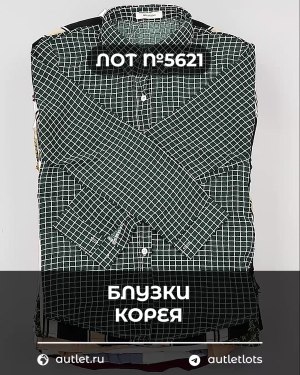 Купить Блузки Корея#20 шт, ЛОТ №5621 оптом в Калининграде и Калининградской области