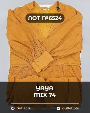 Купить YA YA 062024#39 шт, ЛОТ №6524 оптом в Калининграде и Калининградской области