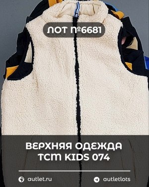 Купить Верхняя одежда TCM kids 074#7 кг, ЛОТ №6681 оптом в Калининграде и Калининградской области