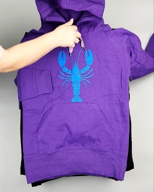 Фотография 327 - Толстовки м/ж (Sweat Tops)#20 кг, ЛОТ №7431 оптом в Калининграде и Калининградской области