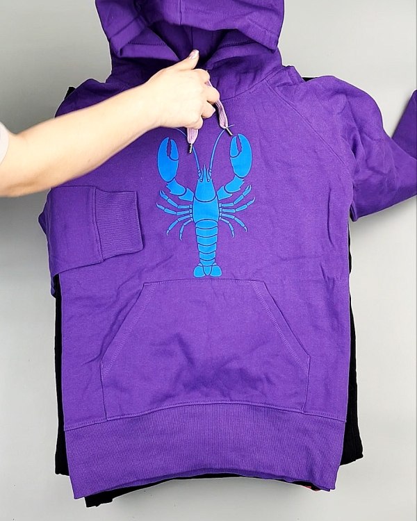 Фотография  928 - Толстовки м/ж (Sweat Tops)#20 кг, ЛОТ №7431 оптом в Калининграде и Калининградской области