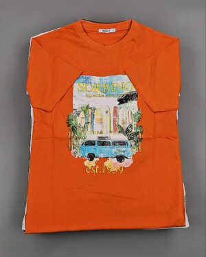 Купить Футболки мужские C-3141 (MEN T-shirt Sorbino) #4,8 кг оптом в Калининграде и Калининградской области