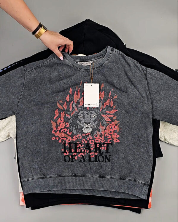 Фотография  661 - Толстовки Bestseller+DK 035#7 кг, ЛОТ СТ-9839 оптом в Калининграде и Калининградской области